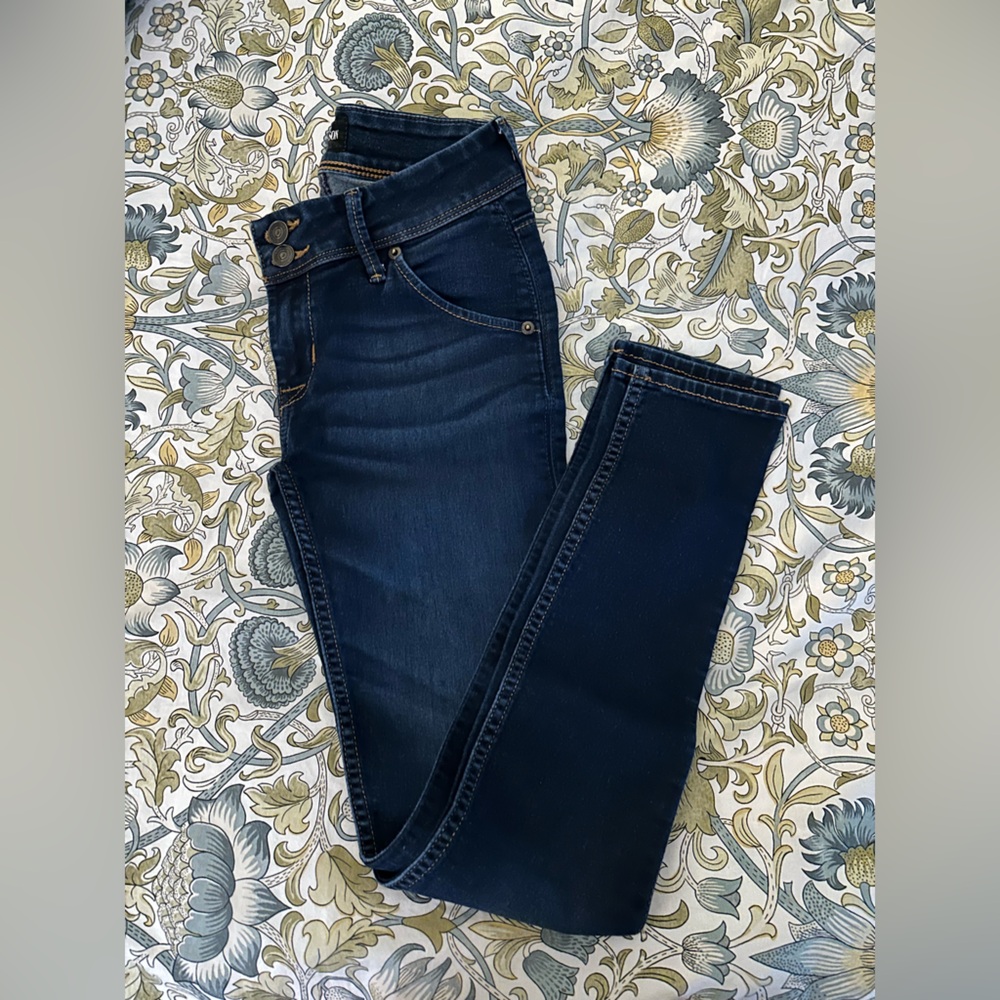 Hudson Collin Skinny Jeans